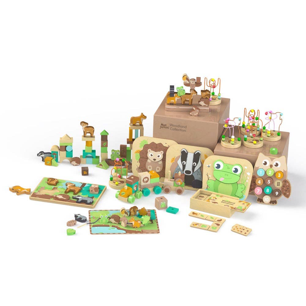 Inside Out Toys - Woodland Owl Number Block Puzzle
