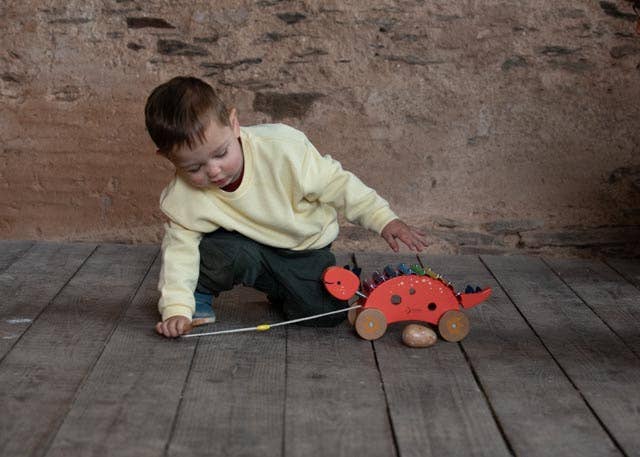 Hippychick - Classic World Wooden Dinosaur Xylophone and Pull Along