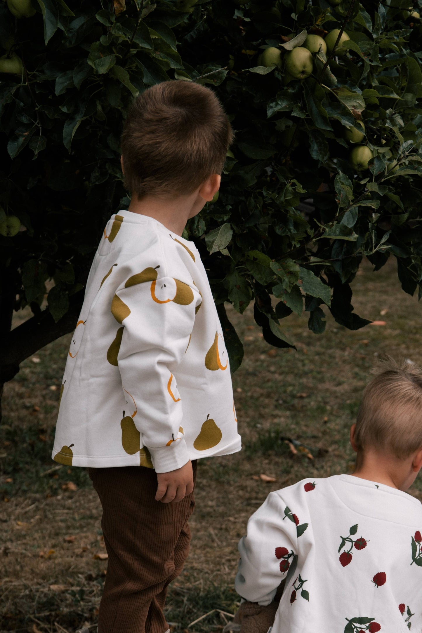 Baby & Child - Wildgreen - Organic Kids Jumper – Autumn Pear - GOTS-Certified